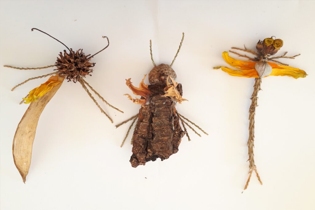 Insekten